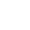 Search Engine Optimization icon